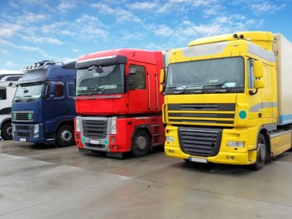 Antalya Fener Nakliye